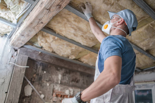 Best Eco-Friendly Insulation in Laguna Hills, CA